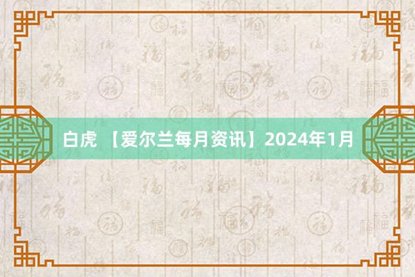 白虎 【爱尔兰每月资讯】2024年1月