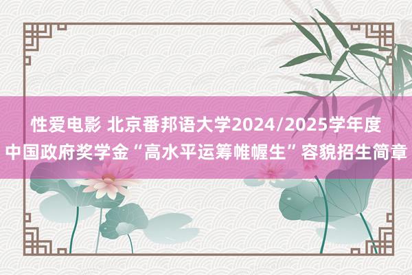 性爱电影 北京番邦语大学2024/2025学年度中国政府奖学金“高水平运筹帷幄生”容貌招生简章